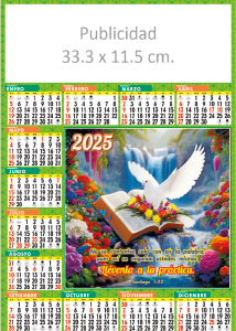 50 Anuarios N°5 (Pequeño)